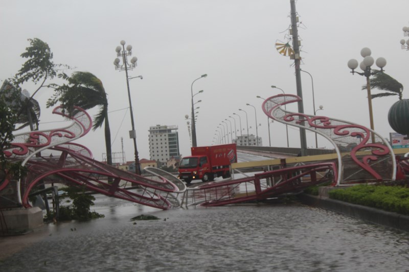 Chùm ảnh: Quảng Bình tan hoang sau bão số 10 - ảnh 5