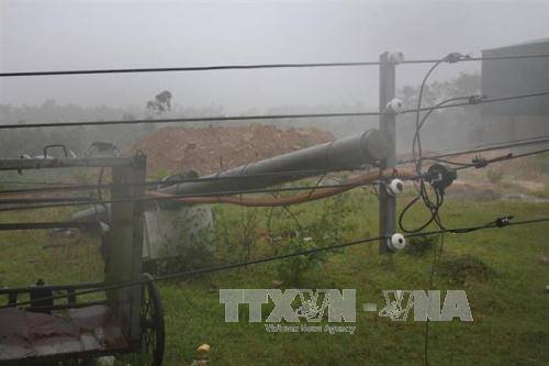 Nhiều cột điện tại xã Kỳ Trinh, thị xã Kỳ Anh bị đổ. 