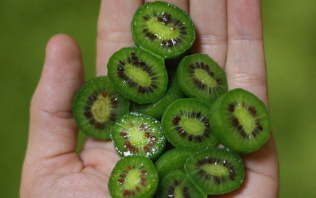 Một hộp kiwi tí hon trọng lượng 125gr gồm 6-7 quả có giá 130.000 đồng, tính ra cả kg có giá đến 1,04 triệu đồng