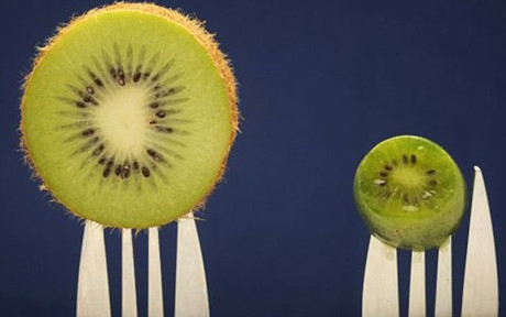 Trái kiwi to thông thường (trái), kiwi tí hon (phải)