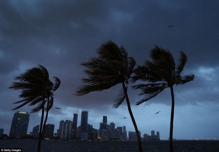 Cơn bão sẽ đổ bộ vào bán đảo Florida tại khu vực phía tây Miami và tiếp tục đi dọc bờ biển phía tây bang Florida. Ảnh: Getty.