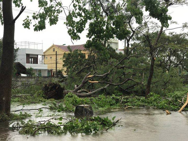 Quảng Bình cũng đã ghi nhận có trường hợp tử vong khi bão đổ bộ tại thị xã Ba Đồn.