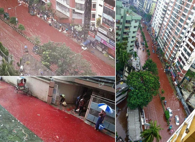Hình ảnh đường phố Dhaka ngập máu hòa lẫn nước mưa