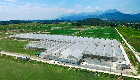 Chỉ trong vòng 24 tháng, VinEco đã xây dựng và phát triển thành công 14 nông trường quy mô và chuyên nghiệp trên cả nước