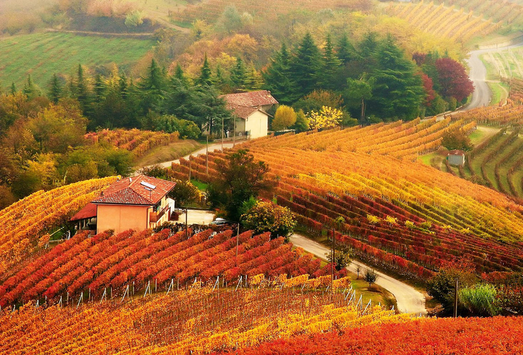 Piedmont, Italy: Mùa thu, nhất là tháng 10, chính là mùa cao điểm của thức ăn và rượu vang ở Italy, với các lễ hội của nấm, hạt dẻ, chocolate và nho. Piedmont sở hữu khung cảnh thu đẹp say lòng, cũng như văn hóa ẩm thực tuyệt vời và vùng tây bắc được bao bọc bởi dãy Alps. Nơi đây có đến hàng trăm con đường bao quanh những đỉnh núi rực rỡ sắc màu để bạn thỏa sức khám phá. Ảnh: Sogno Italiano. 