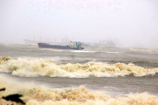Nhiều tàu hàng bị chìm tại khu vực cảng Quy Nhơn do ảnh hưởng của bão số 12