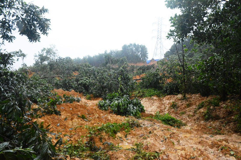 Vụ sạt lở núi xảy ta tại H.Bắc Trà My (Quảng Nam) vào lúc 19 giờ ngày 5/11, 4 người đã may mắn thoát ra ngoài, còn 5 người thì bị đất đá vùi lấp.