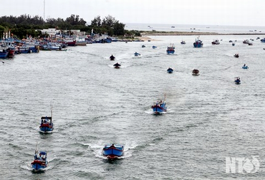 Ngư dân huyện Ninh Hải khẩn trường đưa tàu thuyền vào tránh trú tại cảng Ninh Chữ.