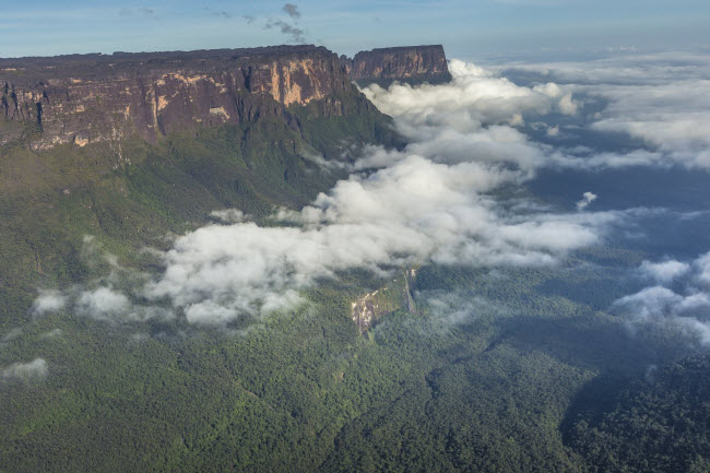 Ngọn núi Roraima trông giống như phong cảnh thời tiền sử. Đỉnh núi nằm trên độ cao 2.800 m và thuộc lãnh thổ của Venezuela, Brazil và Guyana.