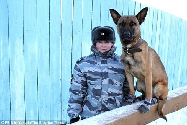 Tom và Jack là tên của hai chú đặc biệt được cử tới nhà tù số 1 ở khu vực Yakutsk, Nga. Đây là nhà tù canh phòng cẩn mật nhất nước Nga, nơi giam giữ những kẻ phạm tội giết người, hiếp dâm rùng rợn nhất.