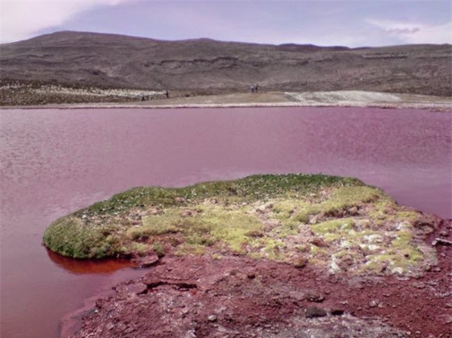 Nhưng theo các nhà khoa học, màu đỏ trong hồ được tạo ra bởi các loài tảo sinh sống ở tầng đáy.
