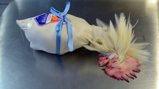 Việc bọc gà thịt bằng tấm vải không chỉ vì mục đích mỹ thuật và hương vị mà còn là cách thể hiện sự tôn trọng với con vật.
