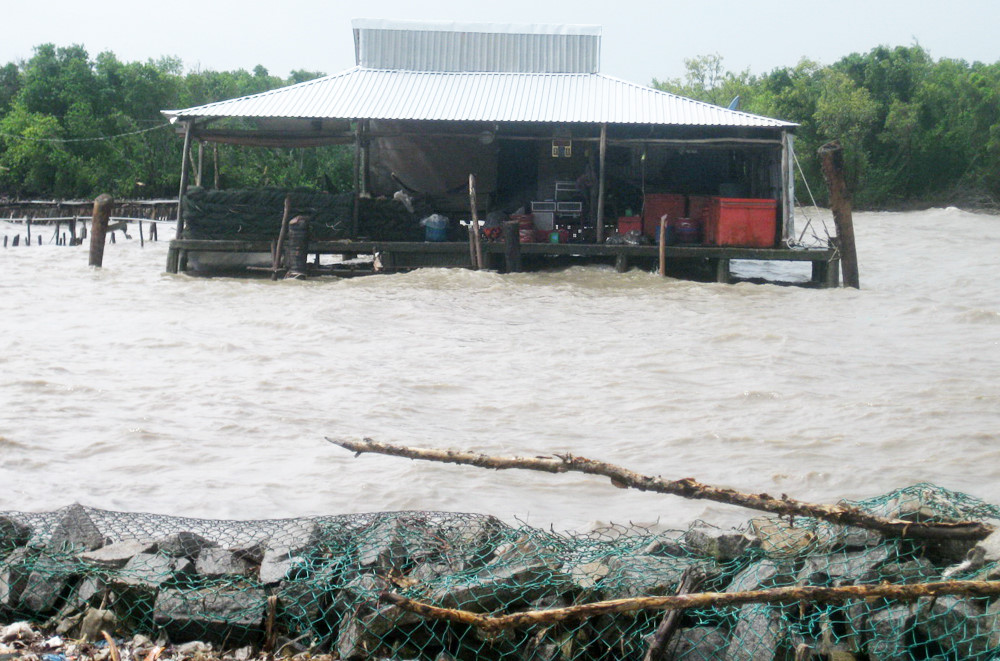 Chuyên gia cảnh báo: Sụt lún ở Đồng bằng sông Cửu Long nguy hiểm hơn nước biển dâng