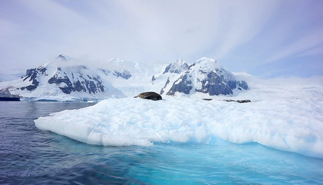 Tàu thuyền cũng được dự đoán sẽ không thể đi qua một số nơi của vùng biển phía nam vì lượng băng lớn ở Nam Cực bị tan. Bên cạnh những dự đoán đáng sợ về thế giới năm 2018, ông Hamilton-Parker dự báo năm mới cũng sẽ có điều tốt đẹp xảy đến.