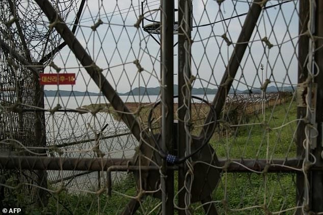 Vùng phi quân sự (DMZ) ở biên giới liên Triều. (Nguồn: AFP)