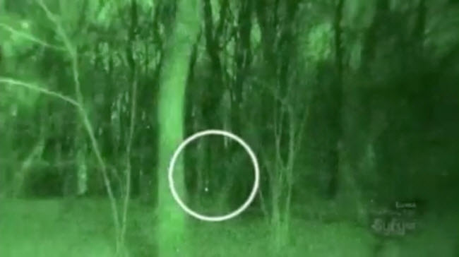 Vào năm 1968, người đàn ông tên Alexandru Sift đã chụp được một bức ảnh trong khu rừng Hoia Baciu, ghi lại những vật thể bí ẩn như UFO của người ngoài hành tinh.