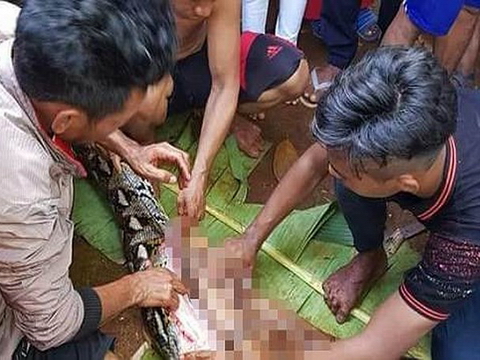 Kinh hoàng phát hiện một phụ nữ Indonesia bị trăn nuốt chửng