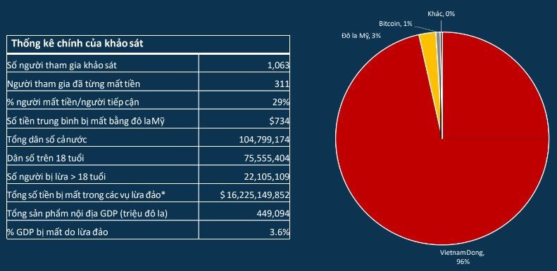 Bảng thông tin dựa trên khảo sát về tình trạng lừa đảo tại Việt Nam của GASA. Biểu đồ tròn cho thấy tỷ lệ các loại tài sản của nạn nhân bị kẻ lừa đảo chiếm đoạt chủ yếu là tiền Việt Nam đồng