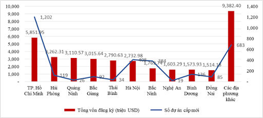 Cơ cấu đầu tư nước ngoài phân theo địa phương