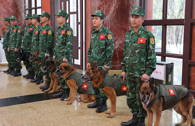 Đội Chó nghiệp vụ tìm kiếm cứu nạn sẵn sàng lên đường thực hiện nhiệm vụ.