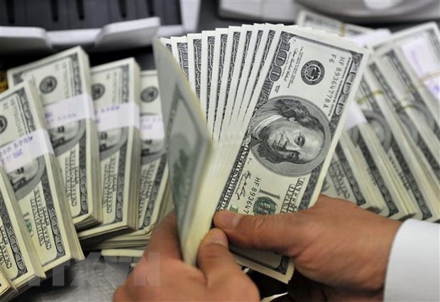 Nhân viên kiểm đồng USD tại một ngân hàng. (Ảnh: AFP/TTXVN)