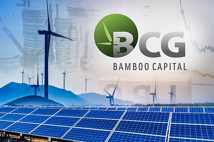 Công ty cổ phần Tập đoàn Bamboo Capital (BCG) được thành lập từ năm 2011, hoạt động trong 4 lĩnh vực chính:  Năng lượng tái tạo , Sản xuất và Nông nghiệp, Xây dựng và Thương mại 