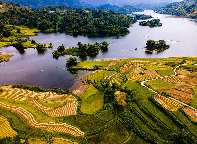 Tuyên Quang