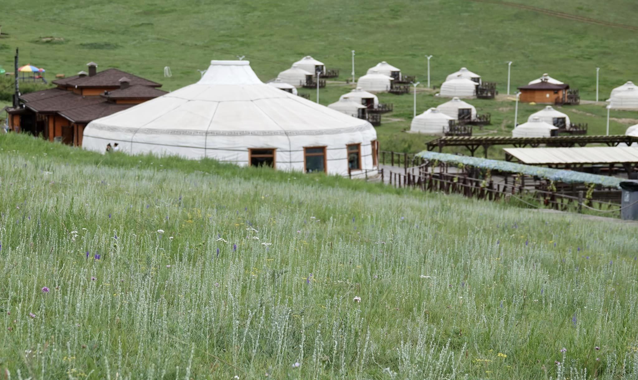 Mông Cổ - Hành trình độc đáo dành cho du khách thích trải nghiệm du mục, tự do