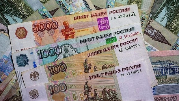 Đồng tiền ruble của Nga. (Ảnh: AA/TTXVN)