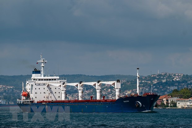 Tàu chở ngũ cốc của Ukraine di chuyển qua Eo biển Bosphorus ở Istanbul, Thổ Nhĩ Kỳ ngày 3/8/2022. (Ảnh: AFP/TTXVN)
