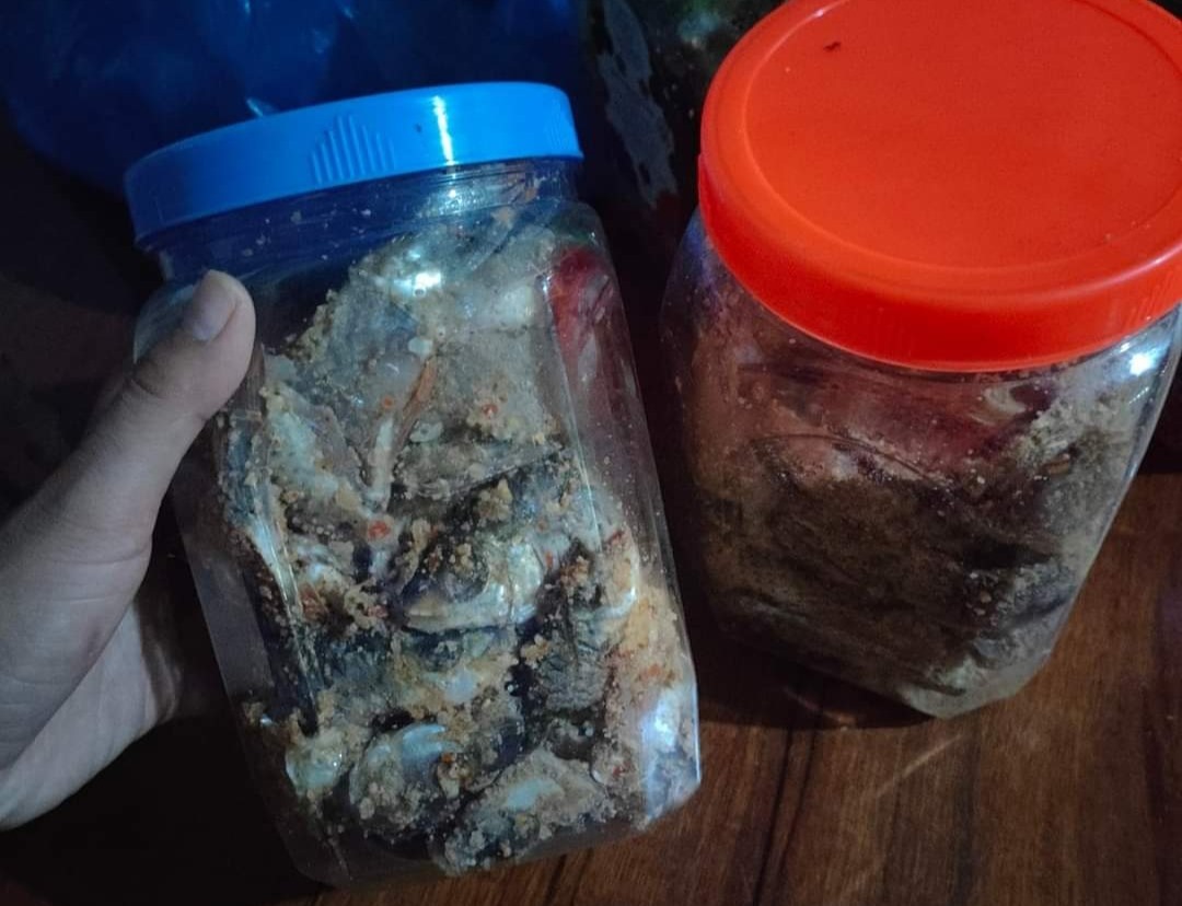 Món cá ủ chua là món ăn truyền thống của đồng bào vùng cao Phước Sơn