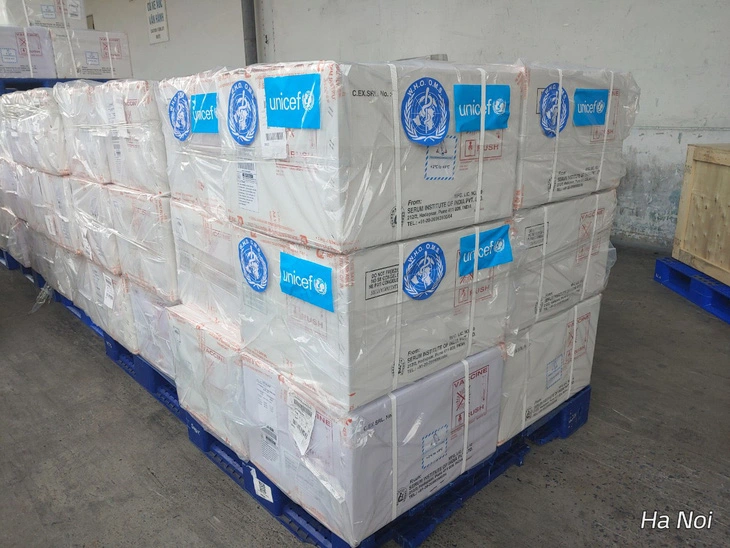 WHO, UNICEF tài trợ 185.700 liều vắc xin 5 trong 1 cho trẻ em Việt Nam - Ảnh: UNCEF cung cấp
