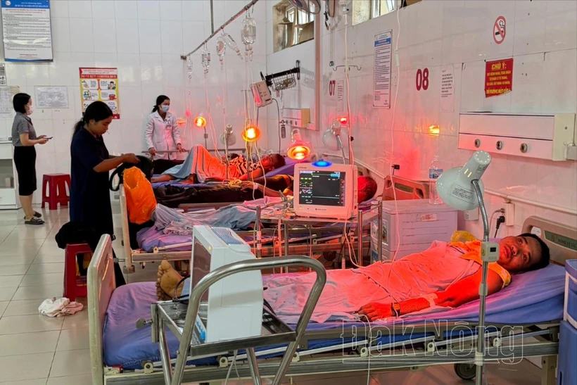 Các bệnh nhân điều trị tại Khoa Hồi sức cấp cứu chống độc, Trung tâm Y tế huyện Đắk Rlấp. (Nguồn: Báo Đắk Nông)