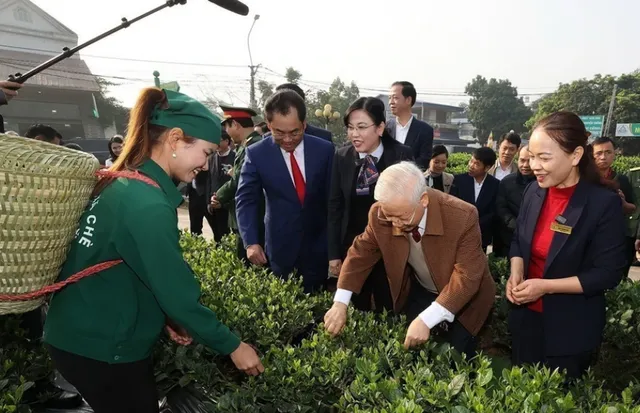Tổng Bí thư Nguyễn Phú Trọng thăm vườn chè của Hợp tác xã Hảo Đạt, thành phố Thái Nguyên (10/1/2023).
