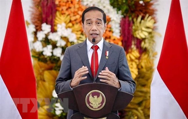 Tổng thống Indonesia Joko Widodo phát biểu tại Bogor. (Ảnh: AFP/TTXVN)