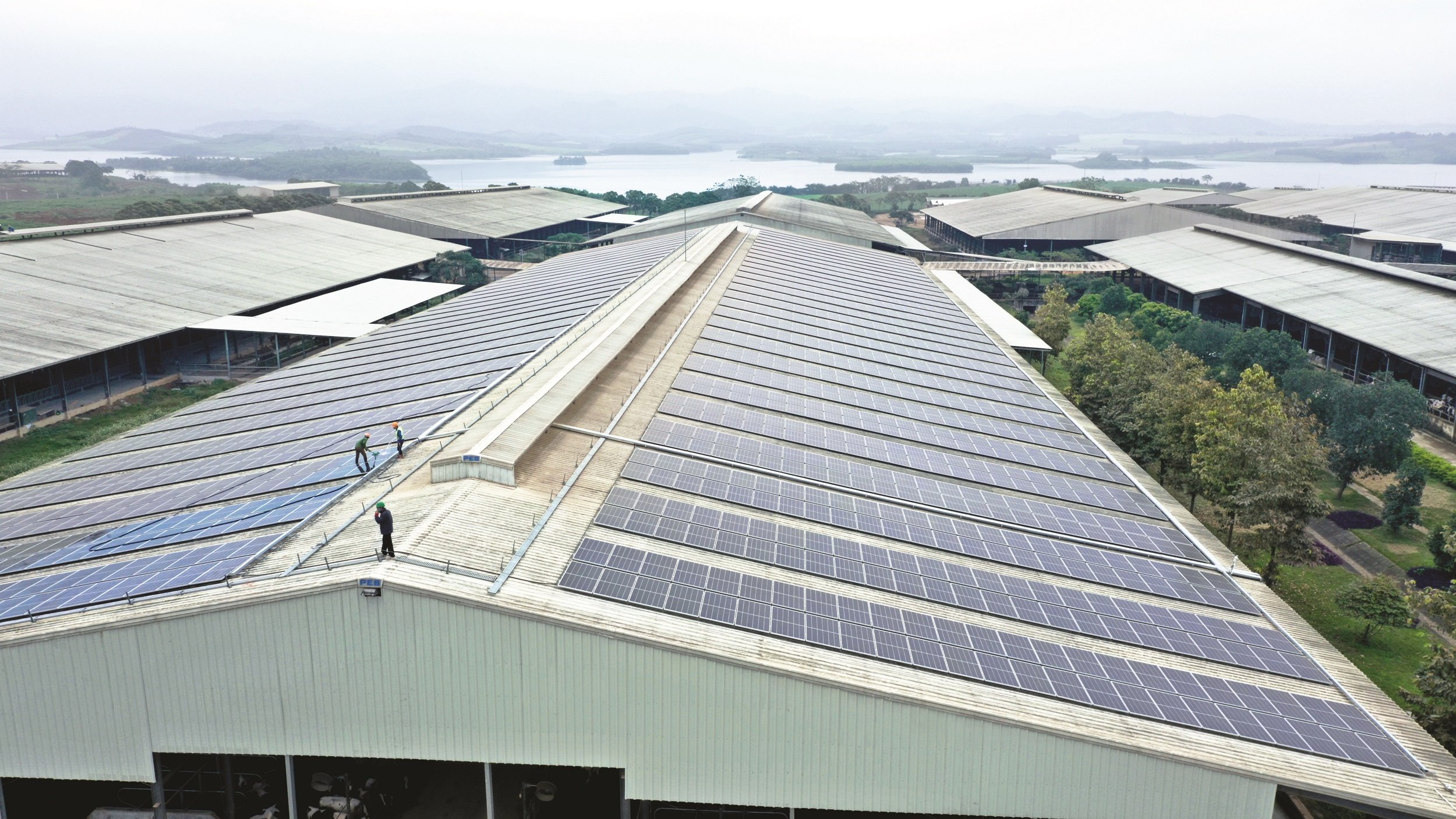 Hệ thống điện mặt trời trên mái các trang trại, nhà máy TH triển khai từ năm 2020, mỗi năm sản xuất khoảng 7 triệu kWh.