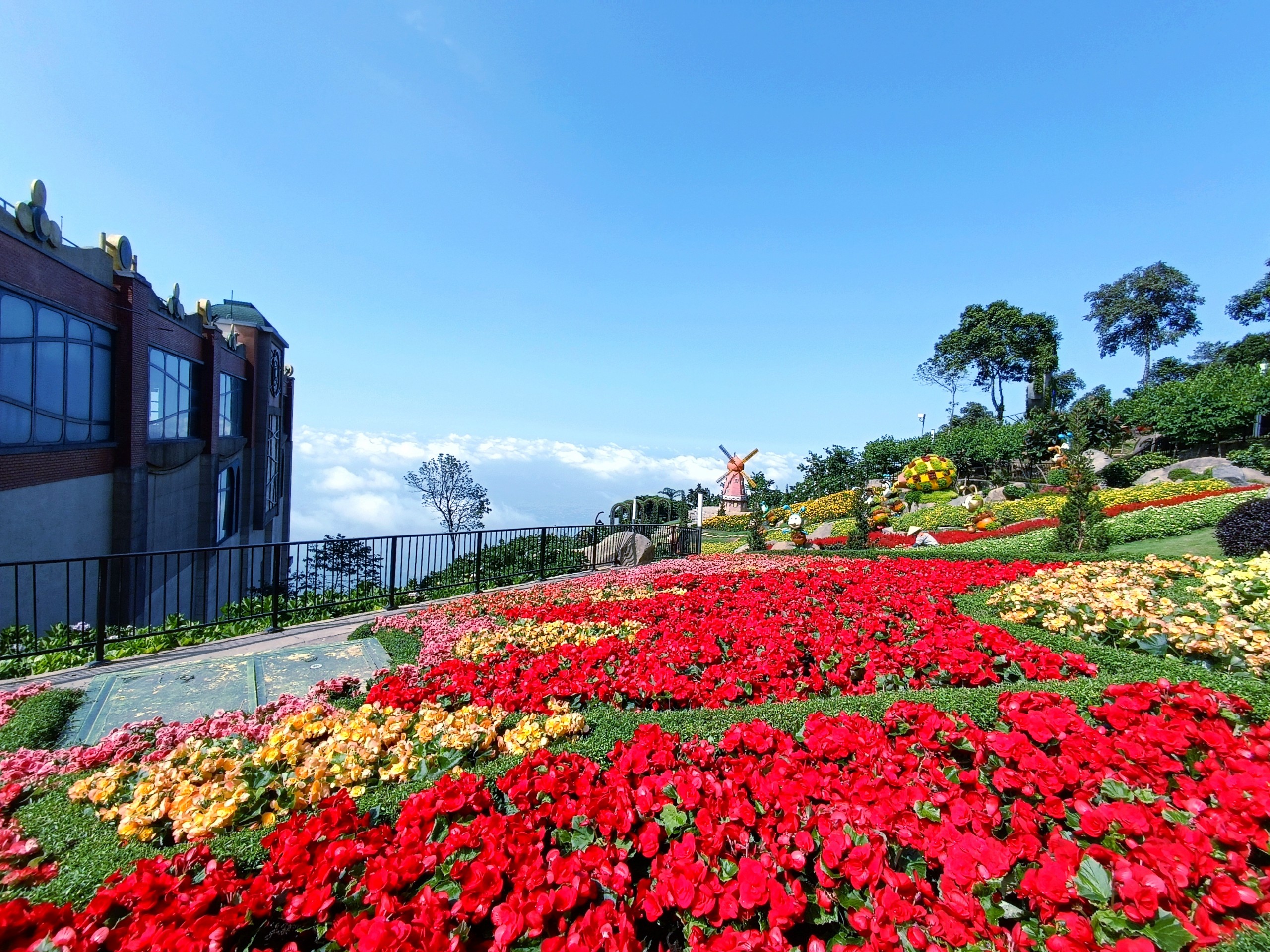 Sun World Ba Den Mountain đẹp tựa miền tiên cảnh với hơn 50.000 gốc hoa. Ảnh: Sun World Ba Den Mountain 