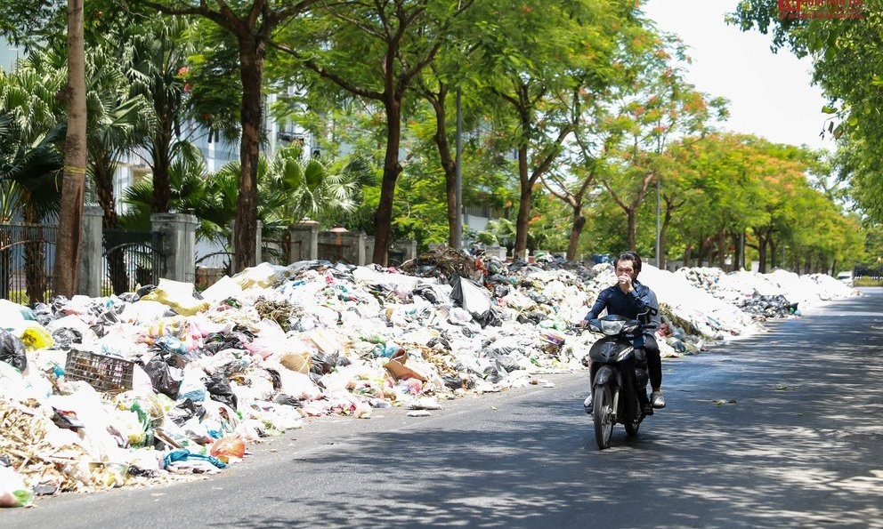 Rác thải - ảnh: NĐT