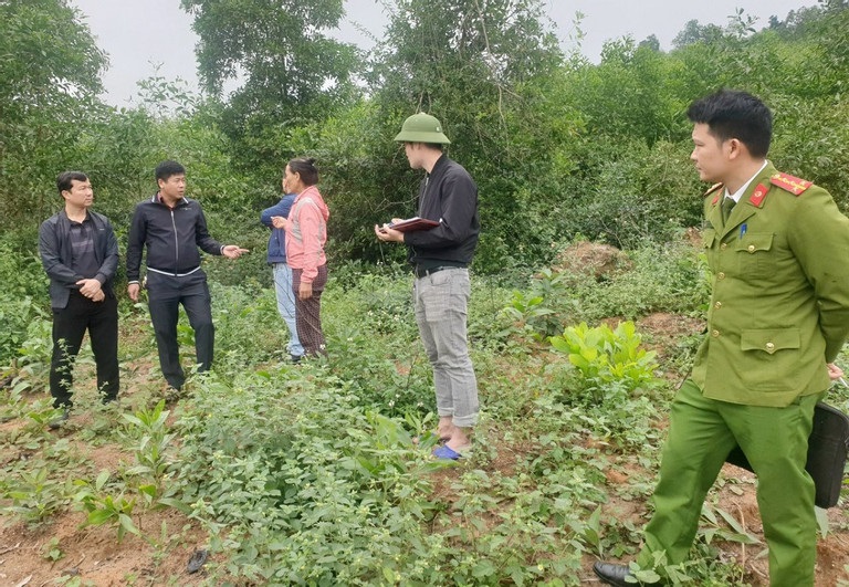 Khu vực đồi keo, nơi phát hiện bé Phúc An. (Ảnh. CTV)