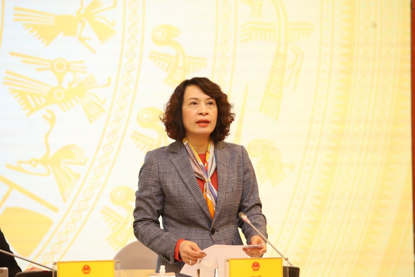 Thứ trưởng Bộ Y tế Nguyễn Thị Liên Hương trả lời tại cuộc họp báo Chính phủ ngày 6/12