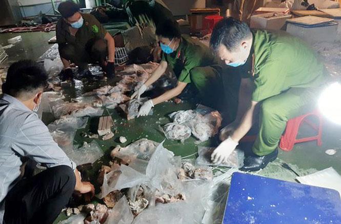 Cơ quan công an thu giữ số ma túy giấu trong nội tạng lợn ở cảng Hồng Vân.