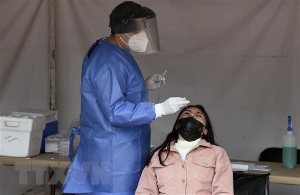 Nhân viên y tế lấy mẫu xét nghiệm COVID-19 cho người dân tại Mexico City. (Ảnh: AFP/TTXVN)