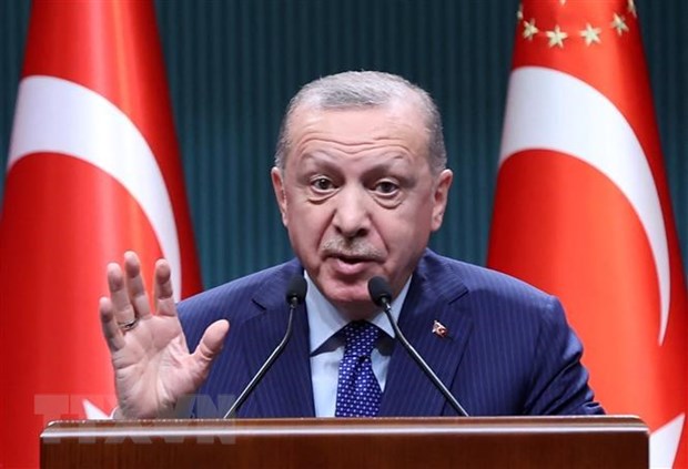 Tổng thống Thổ Nhĩ Kỳ Recep Tayyip Erdogan phát biểu tại Ankara. (Ảnh: AFP/TTXVN)