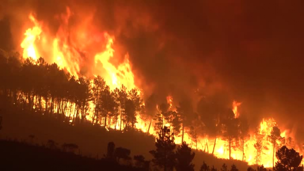 Đám cháy tại khu vực Serra da Estrela, Bồ Đào Nha. Nguồn: Reuters