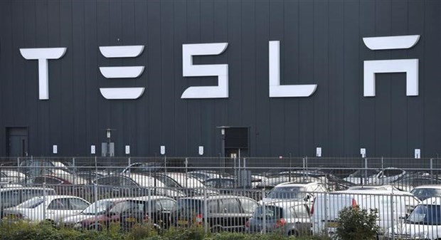 Nhiều năm qua, Indonesia đã cố gắng đạt được thỏa thuận với Tesla về đầu tư vào lĩnh vực pin xe điện. (Ảnh: AFP/TTXVN)