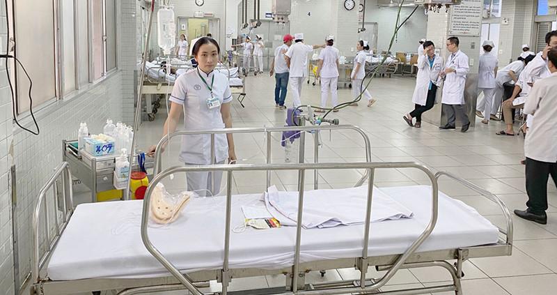 Nhiều loại dịch bệnh ở Việt Nam giảm mạnh