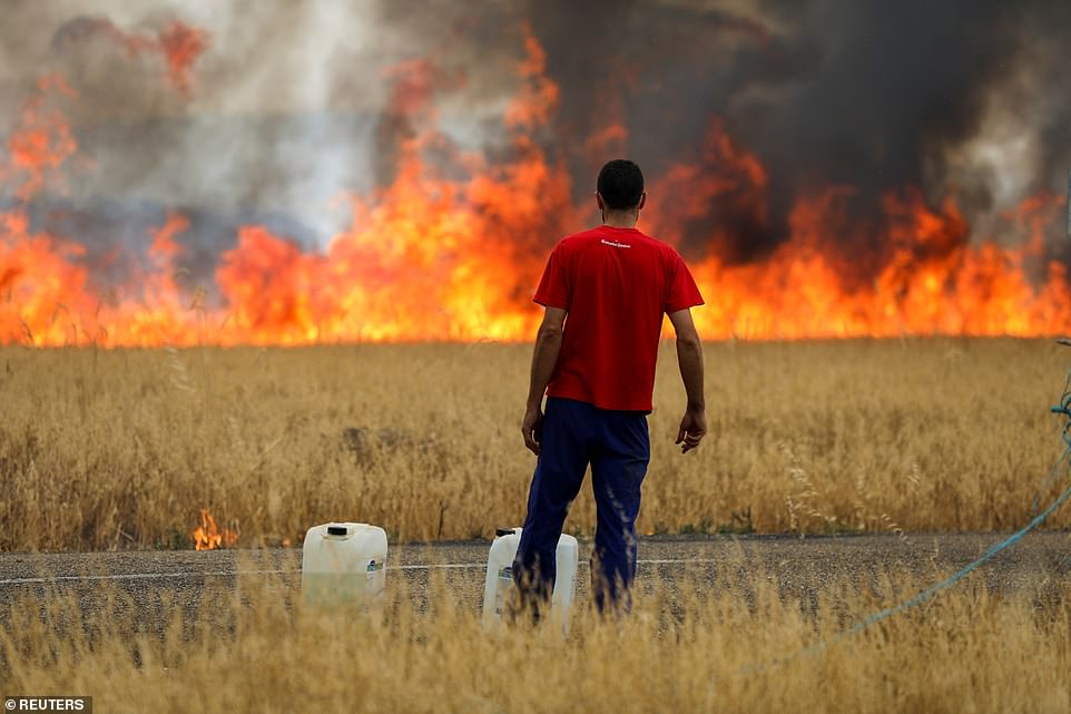 Nắng nóng ở châu Âu khiến người nông dân “ngồi trên lửa đốt” (Ảnh: Reuters)
