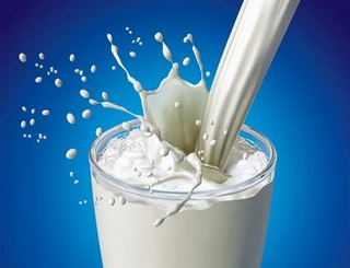 Uống càng nhiều sữa càng tốt cho sức khoẻ?