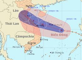 Đưa tin dự báo bão sai phạt đến 50 triệu đồng