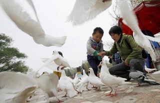 Trung Quốc công bố nguồn gốc chủng virus cúm H7N9